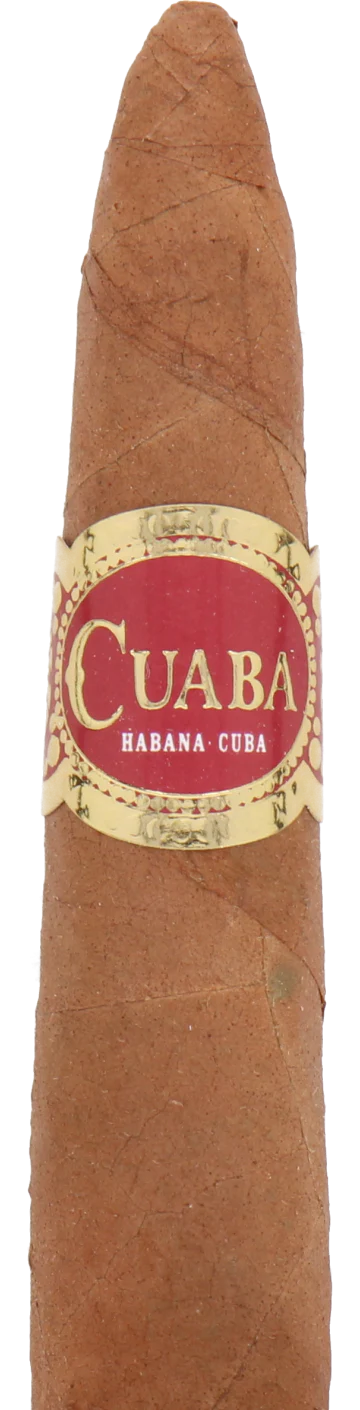 Cuaba Tradicionales Cuban Cigar - Single