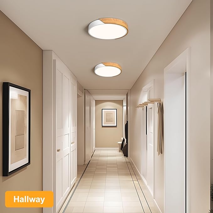 Modern LED Ceiling Light