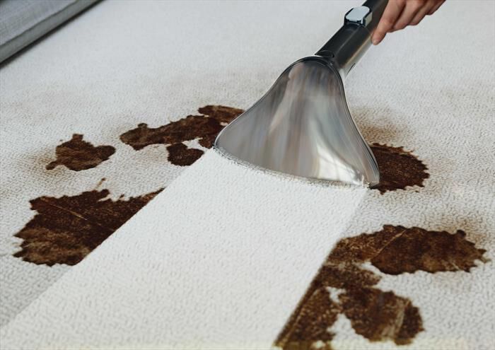 HOOVER - Aspirapolvere senza filo HS530 011-Nero