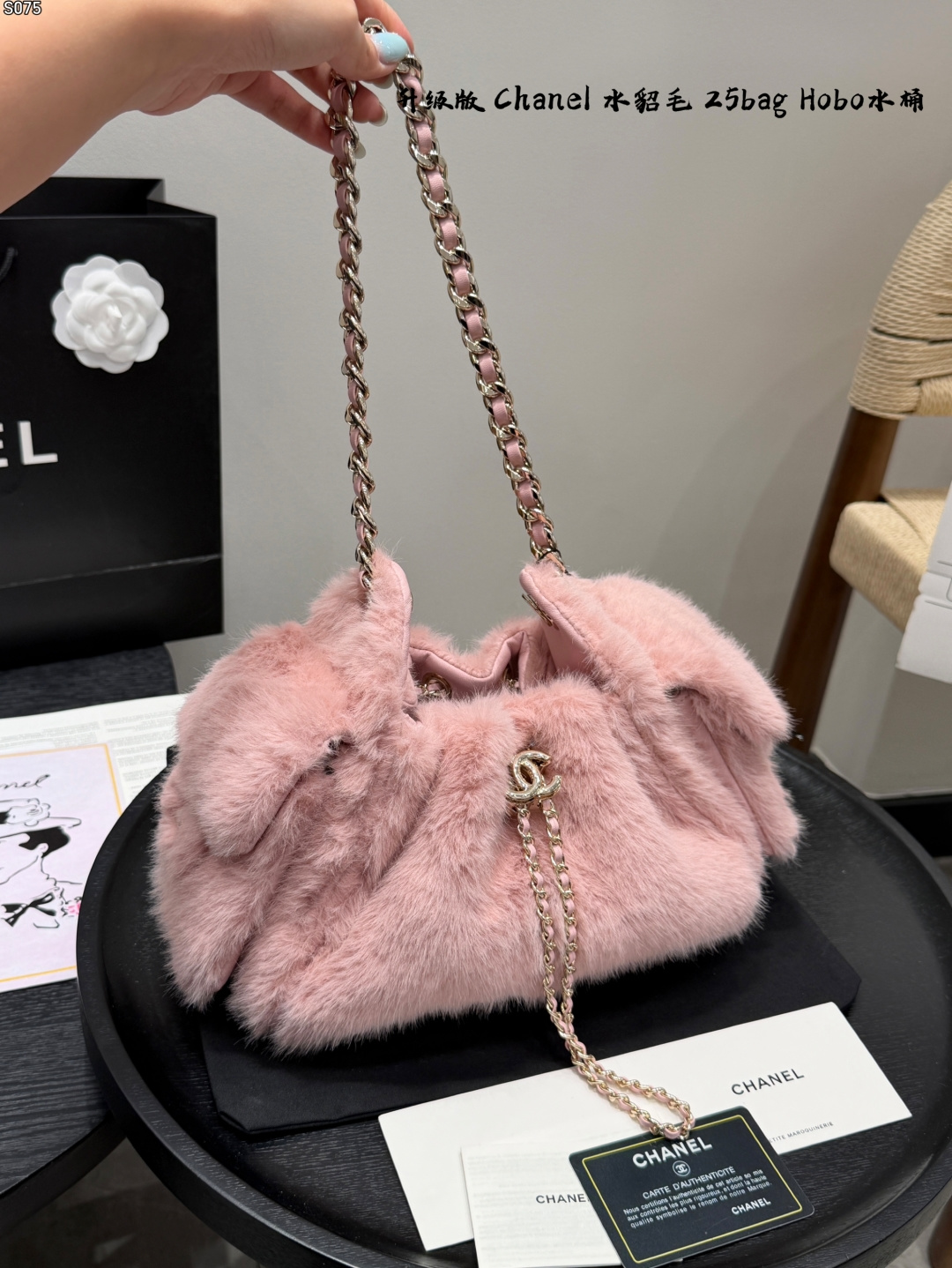 Chanel 25 Hobo Pony Hair Gold Hardware Leopard