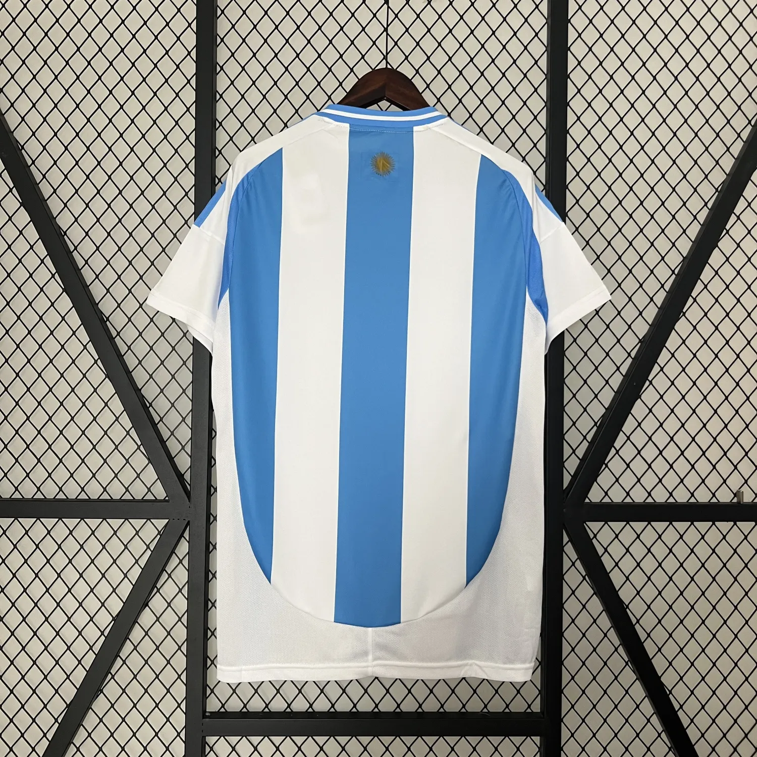 2024/25 Argentina Home Jersey - Fans Edition