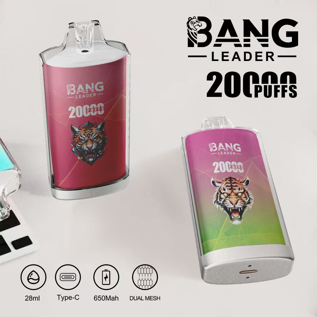 Bang Leader 20K Puffs 2-in-1