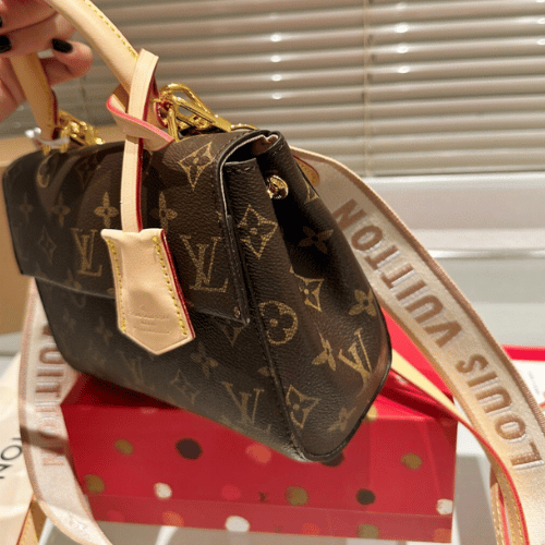 Louis Vuitton Cluny BB Monogram Small 7.9 Inches