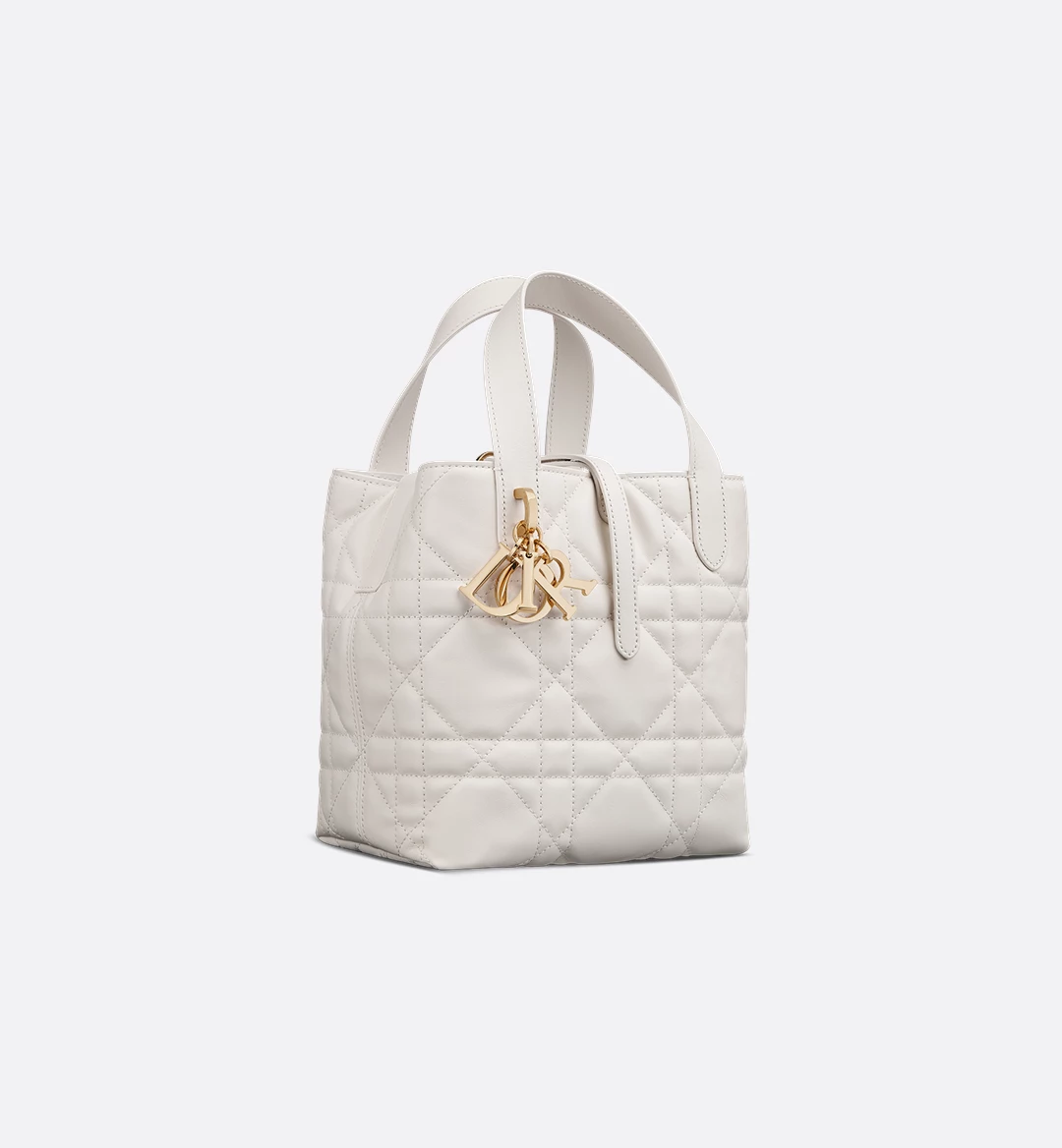 Small Toujours Vertical Tote Bag