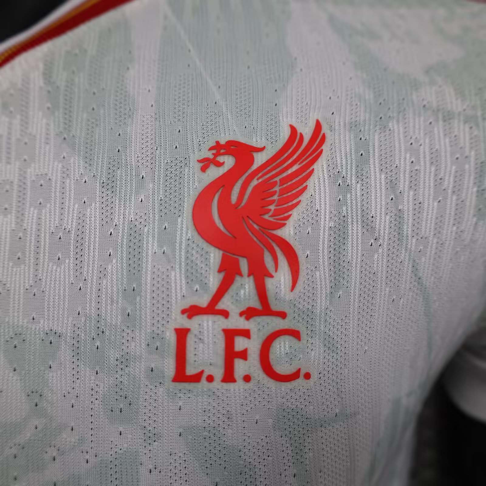 2024/25 LiverpoolSecond away jersey. - Player version