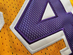 LeBron Bryant Los Angeles Lakers Yellow 8 MN