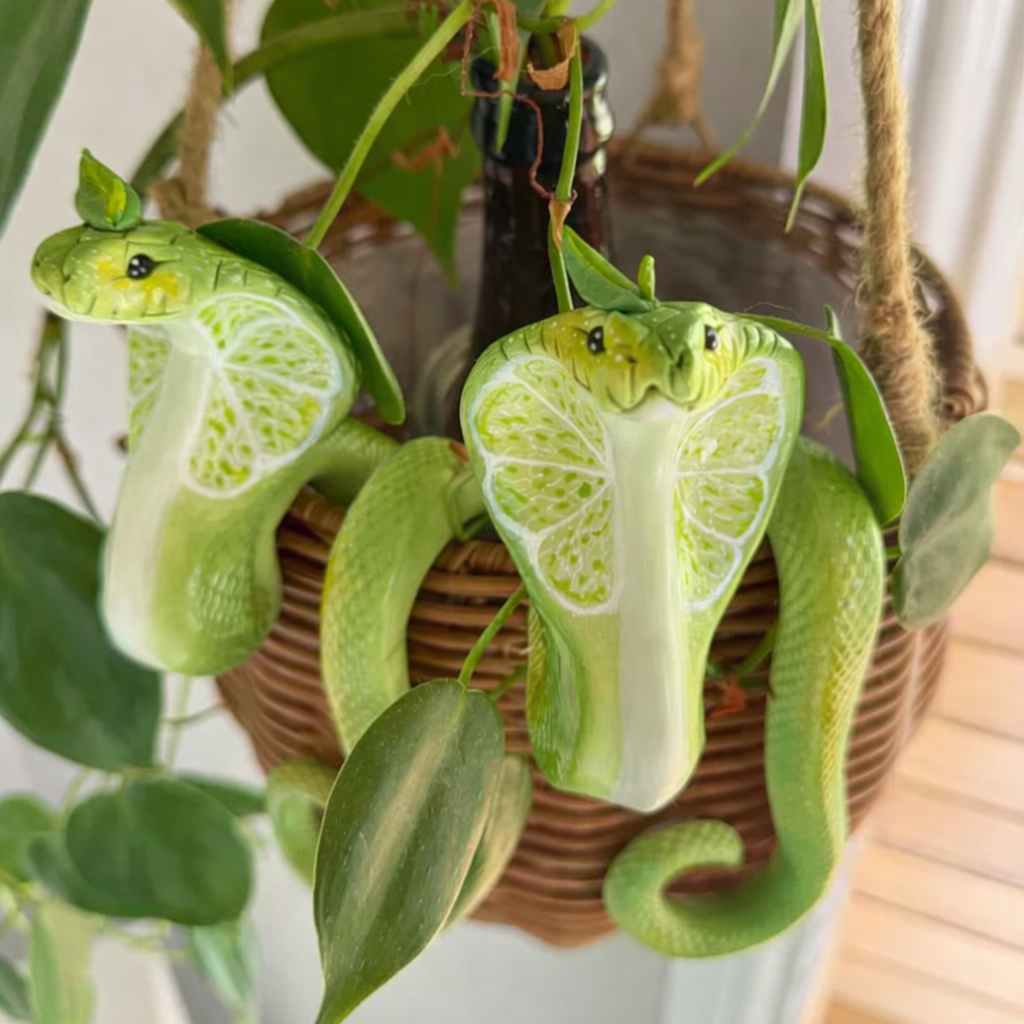 🐍Handmade Pot Plant Hanger