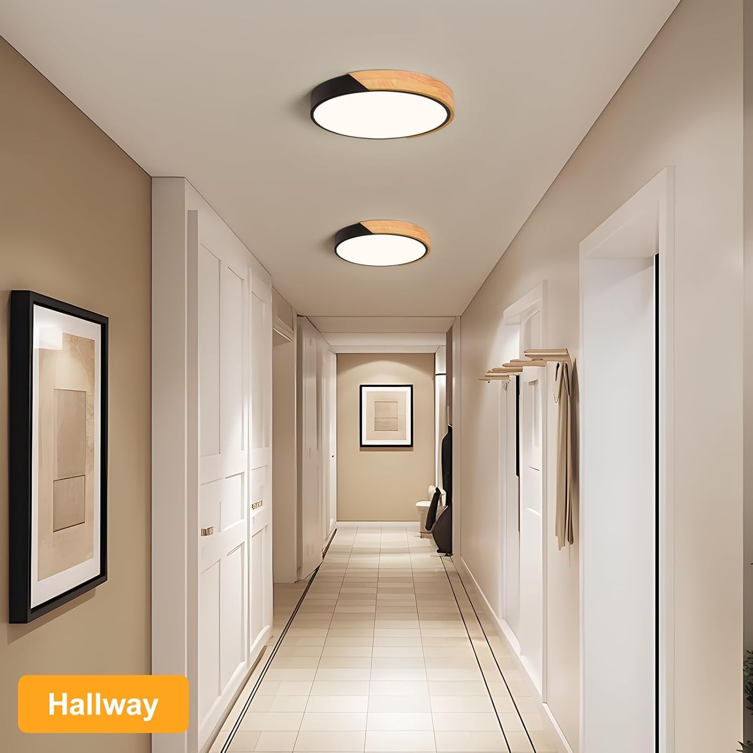 Modern LED Ceiling Light