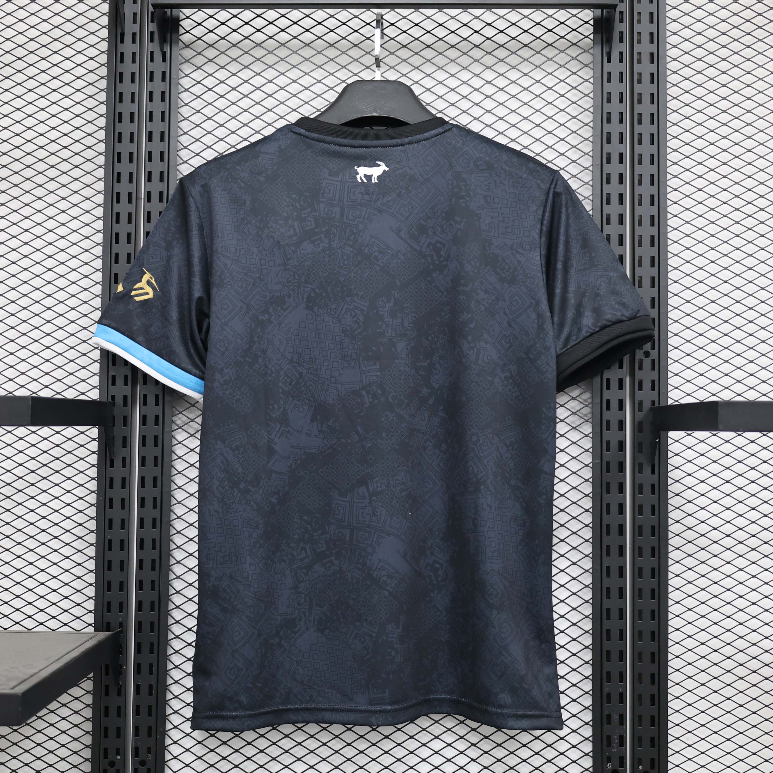 2023 Argentina National Special Edition Suit Blue Jersey - Fans Edition