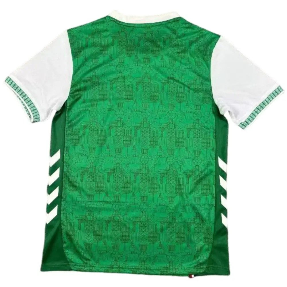 2025-26 AS Saint-Étienne Home Jersey - Fans Edition