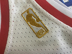 Allen Iverson Philadelphia 76ers 3 White MN