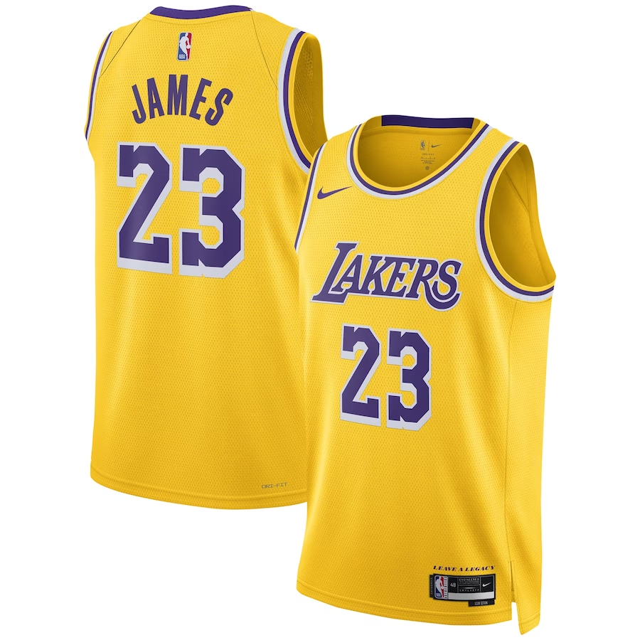 Unisex Los Angeles Lakers LeBron James  White Swingman Jersey - Gold