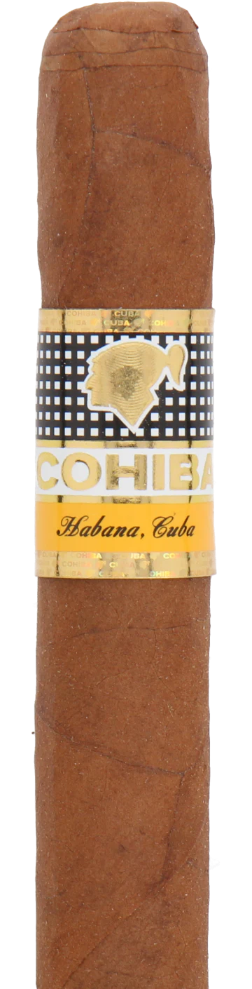 Cohiba Siglo II Cuban Cigar - Single