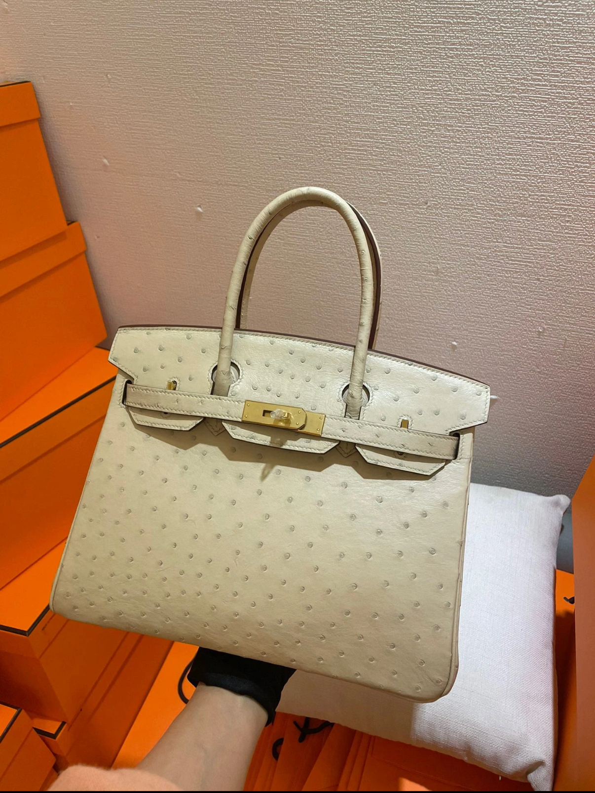 Advanced customization Birkin 25 Ostrich skin