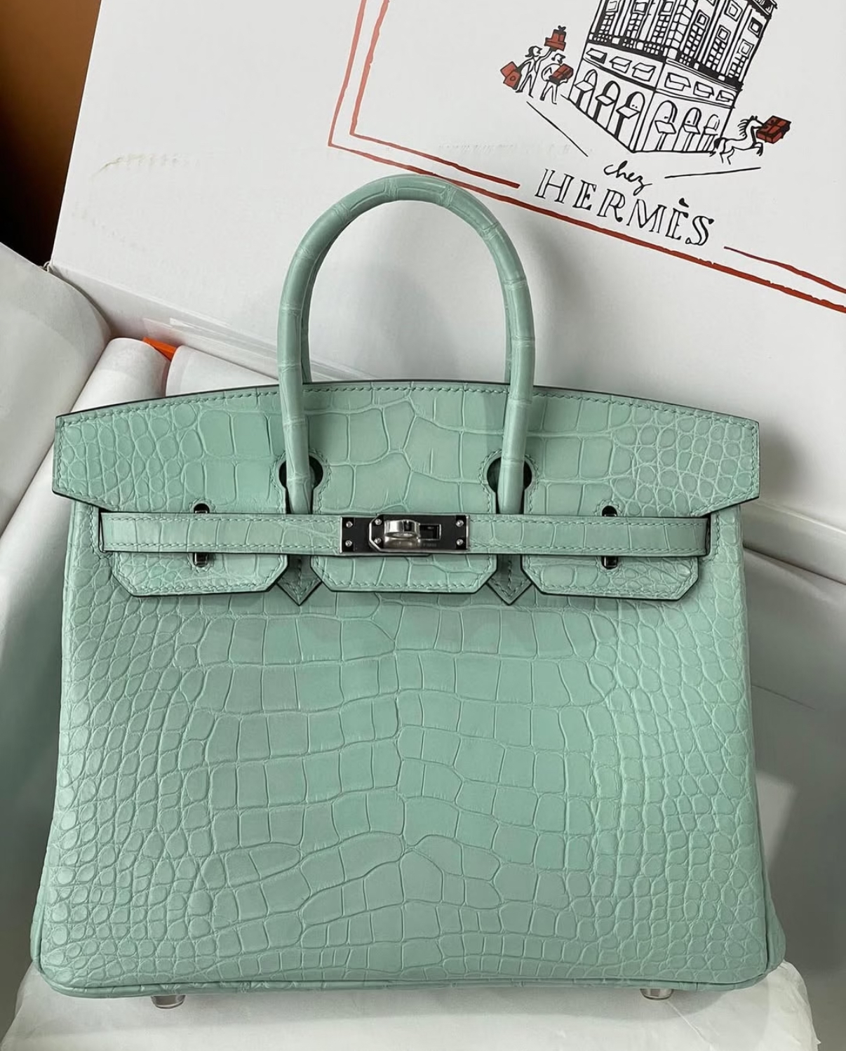 Hermès Birkin 25-30 mint green matte crocodile leather