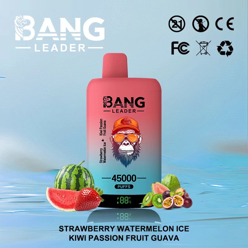Bang Leader 45k Puffs 2-in-1