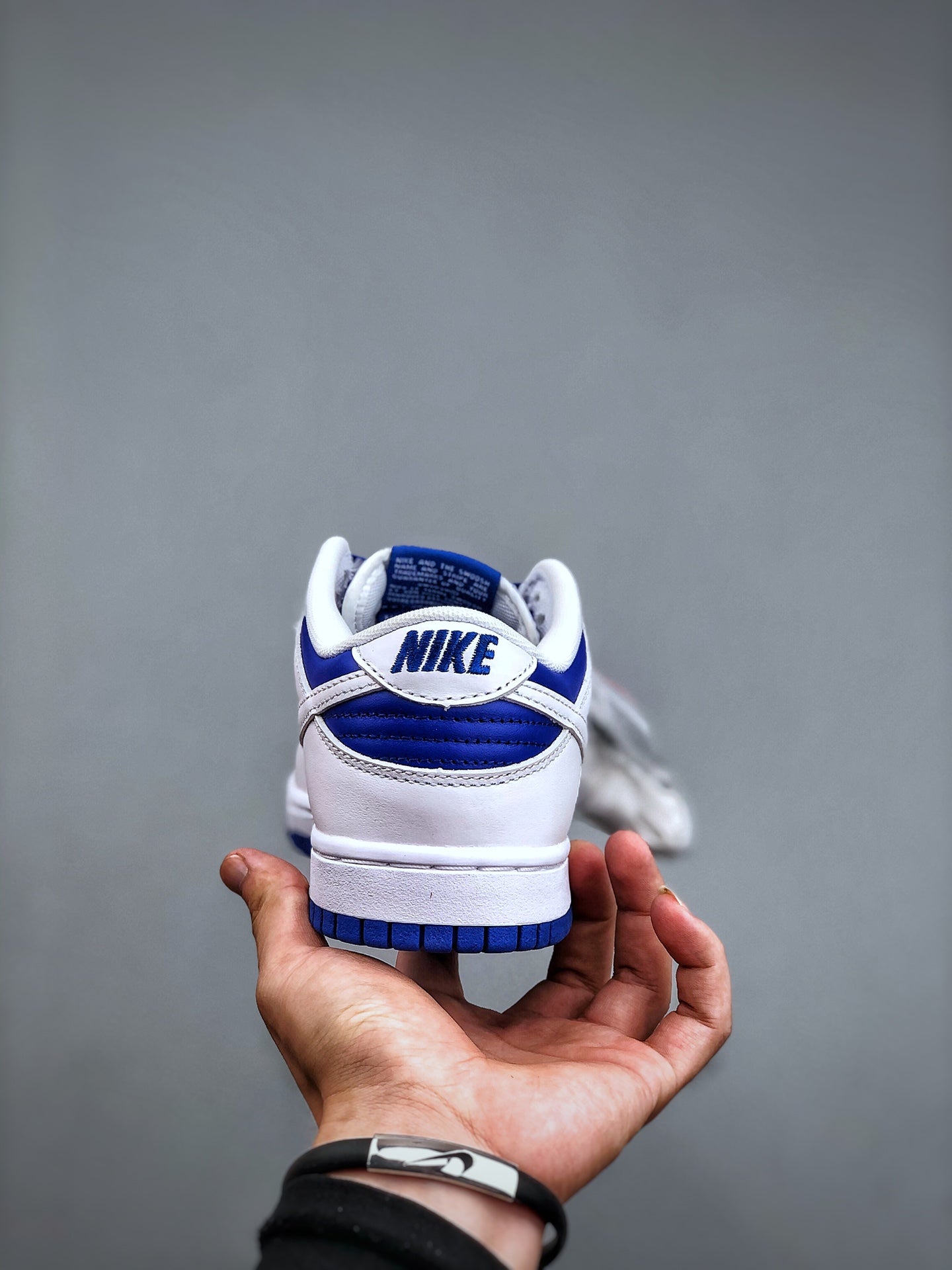 Dunk Low Racer Blue White