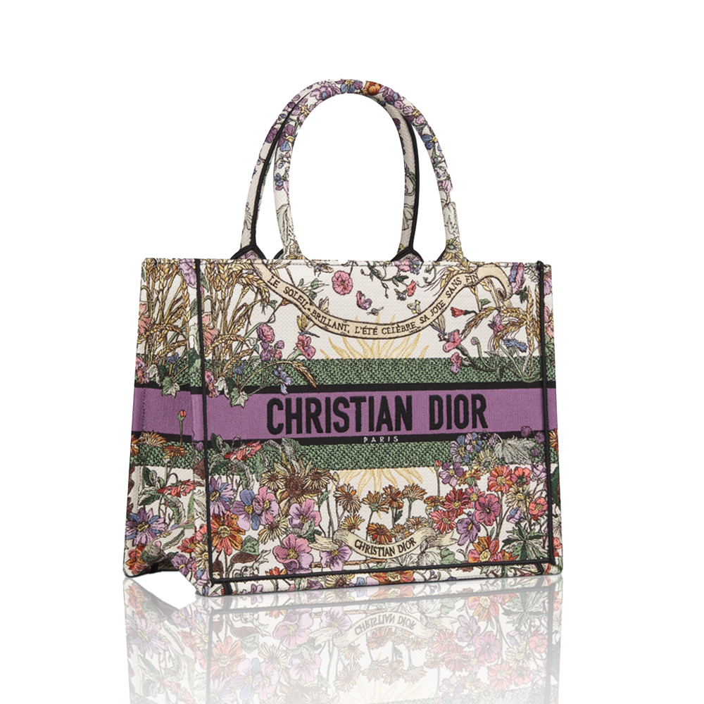 Dior Book Tote Bag