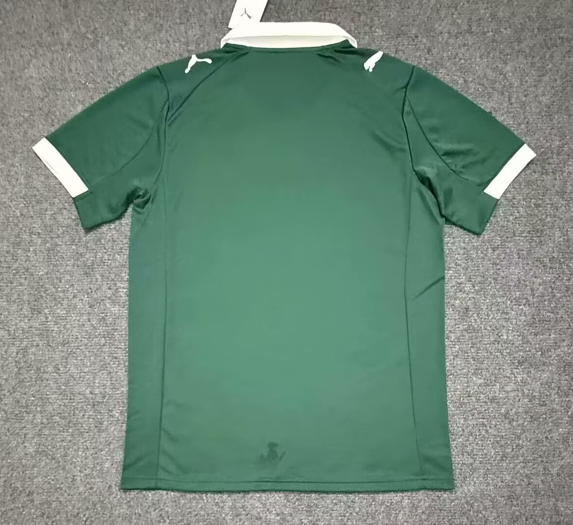 2025-26 Plymouth Argyle Football Club Home Green Jersey - Fan Edition