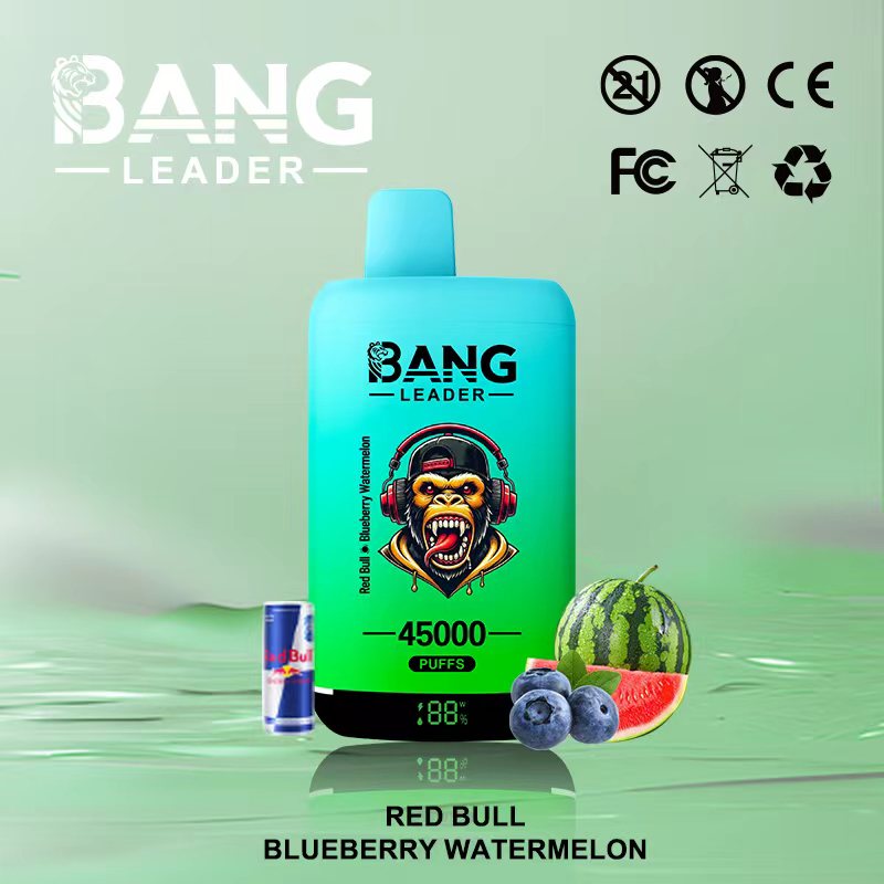 Bang Leader 45k Puffs 2-in-1