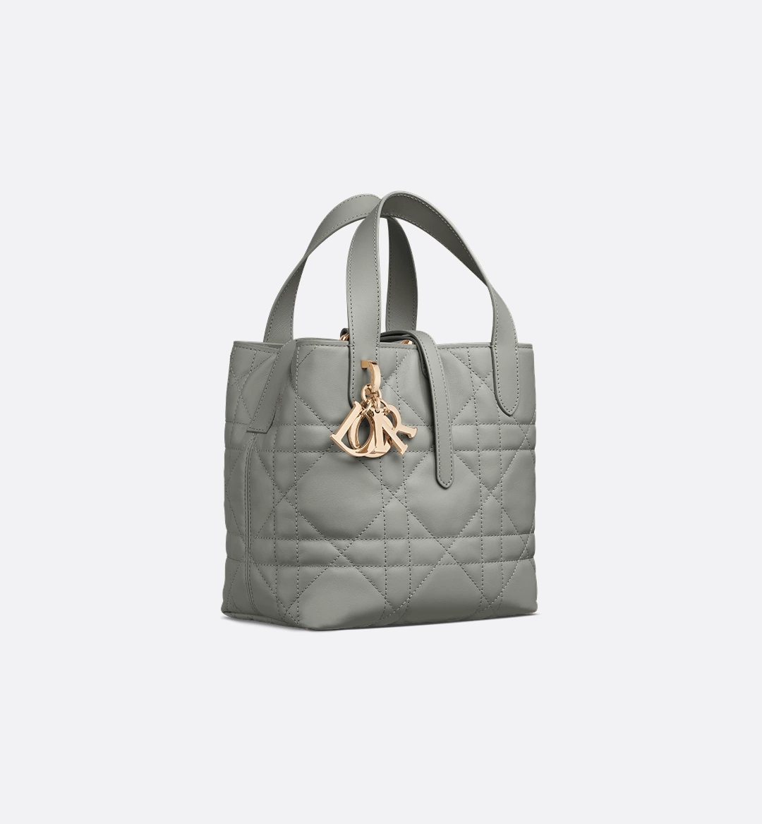 Small Toujours Vertical Tote Bag