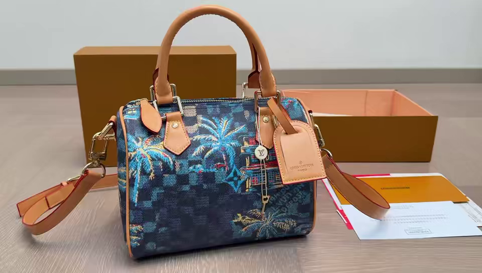 LV Speedy Pillow Bag