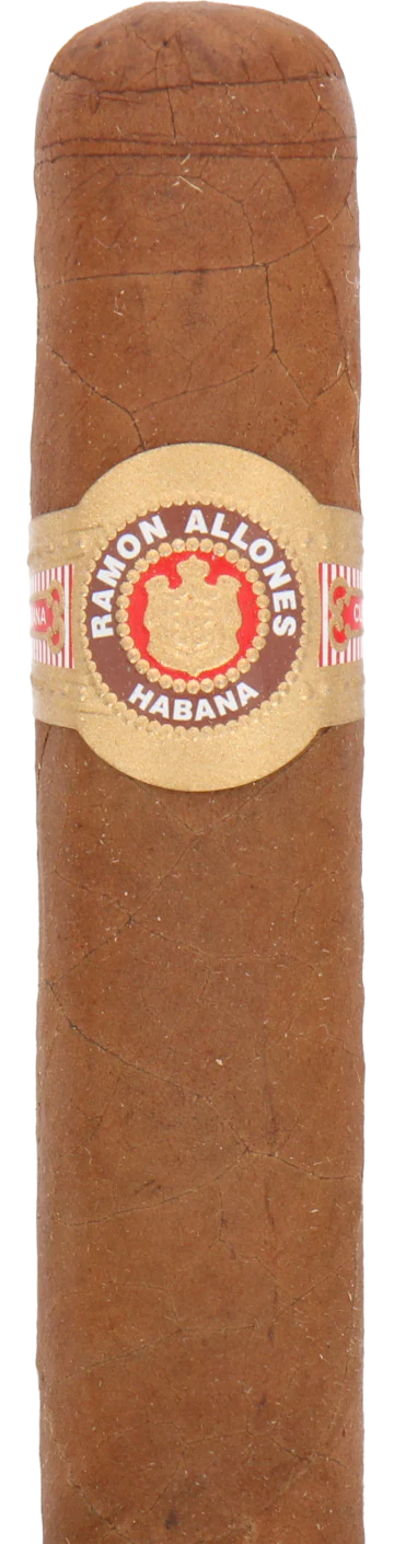 Ramon Allones Specially Selected Cuban Cigar - Single