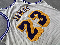 LeBron James Los Angeles Lakers  White 23 MN