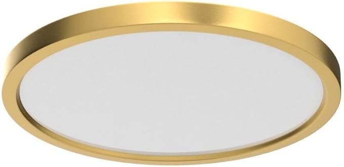 12Inch Flush Mount Ceiling Light Fixture LED