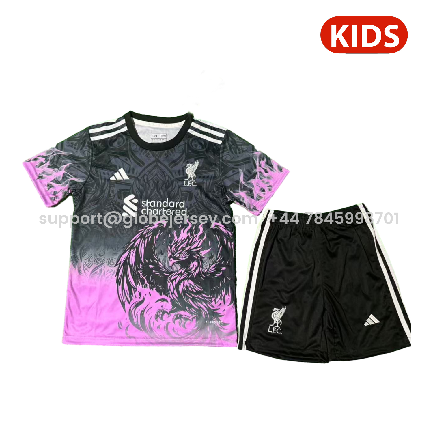 Liver.pool 25-26 Purple Liver.pool Bird Black Special Kids Kit