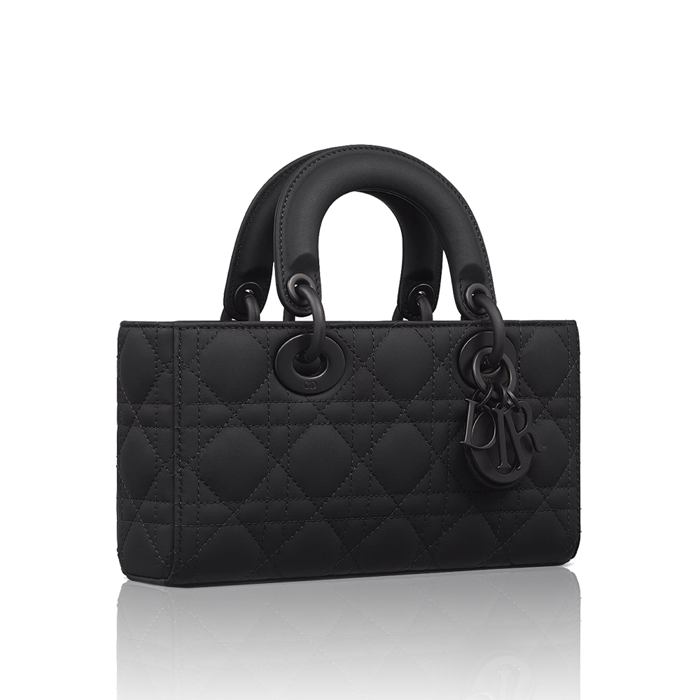 Dior Small & Medium Lady D-Joy Matte
