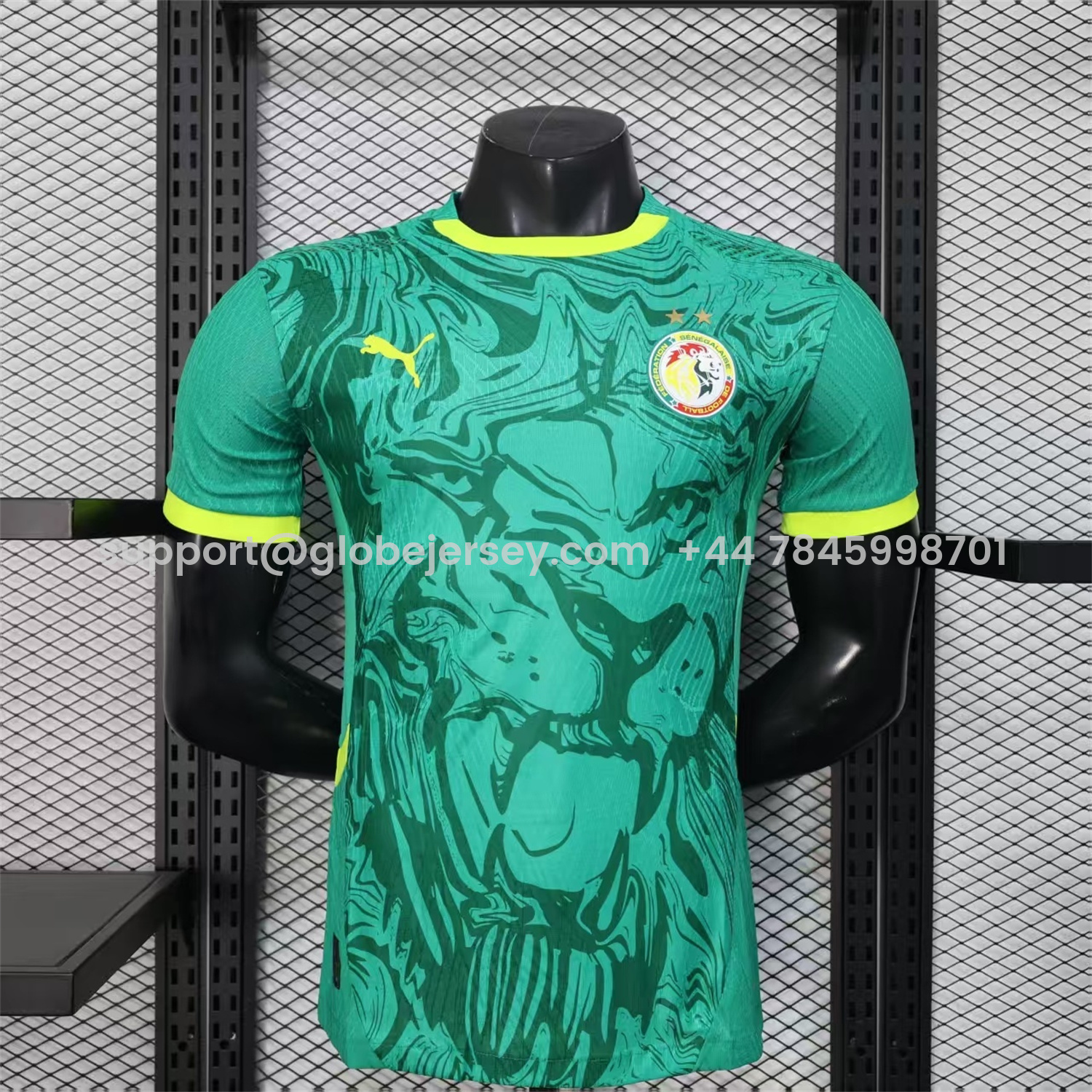 Senegal 2026 Away Double Stars Jersey - Player Version