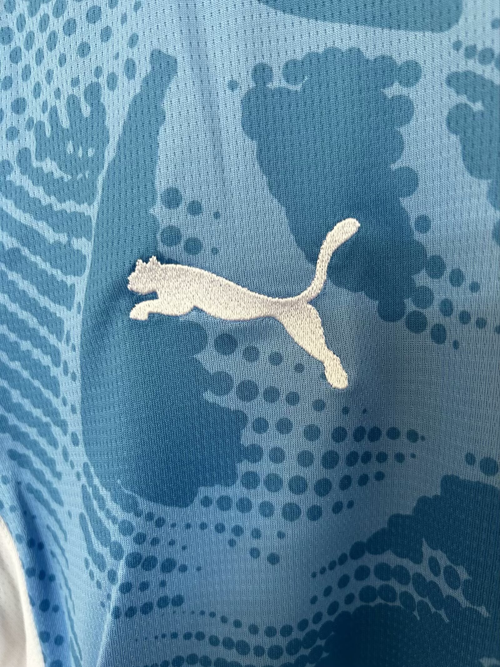 2025-26 Panamera Goalkeeper Blue - Jersey - Fan Edition