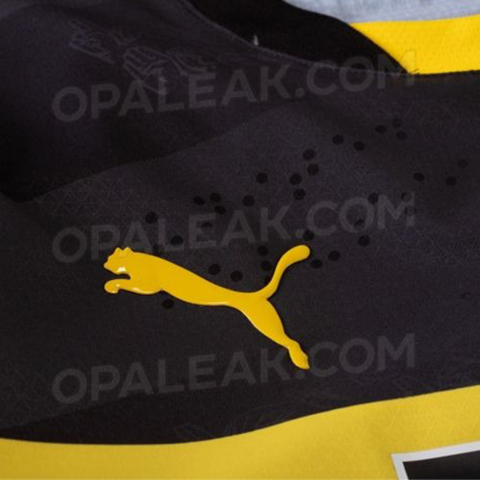 Borussia Dortmund 2024-25 Away Kit