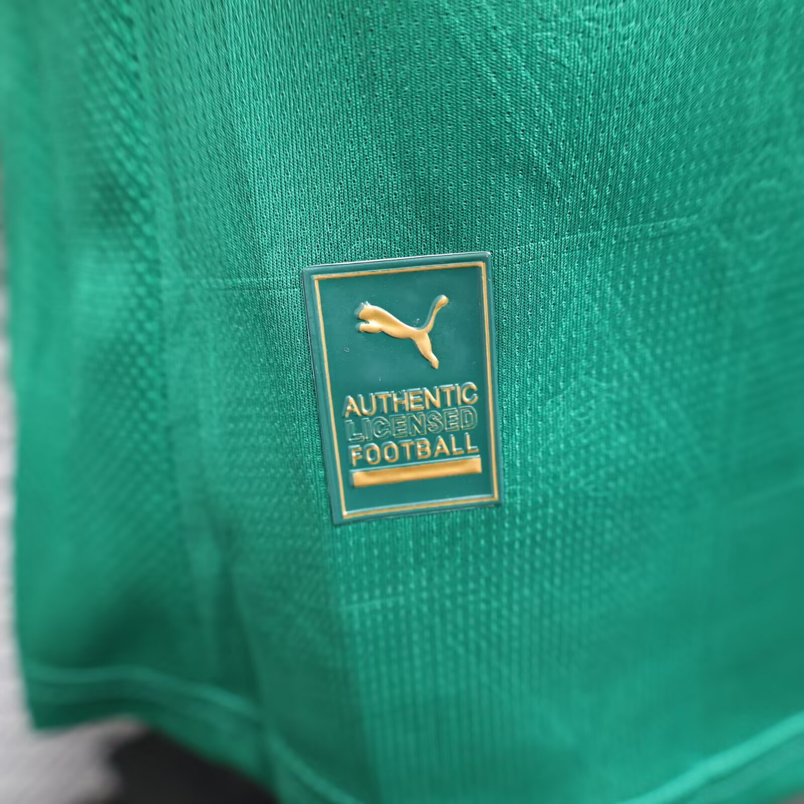 2025/2026 Player Version Palmeiras Green Home Football Shirt 1:1 Thai Quality