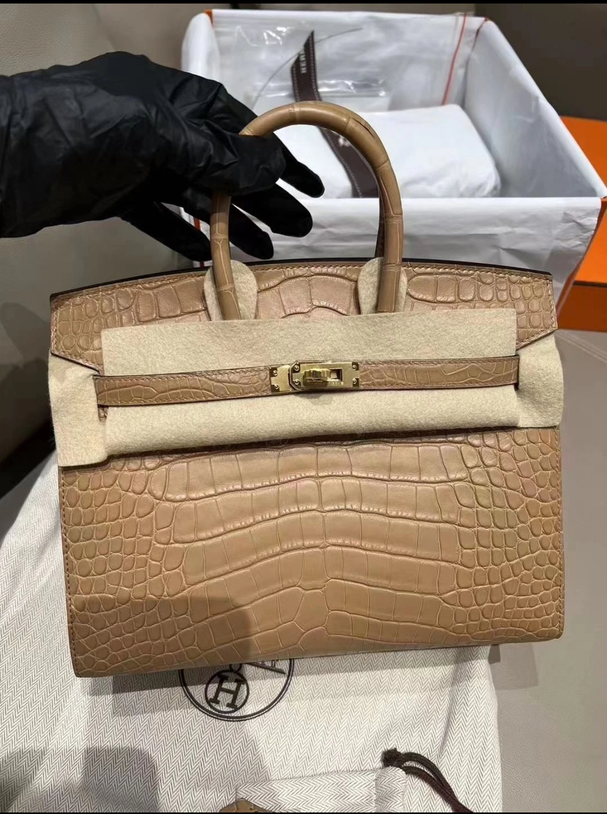Hermès Birkin 25-30 Milk Tea Matte Crocodile Leather