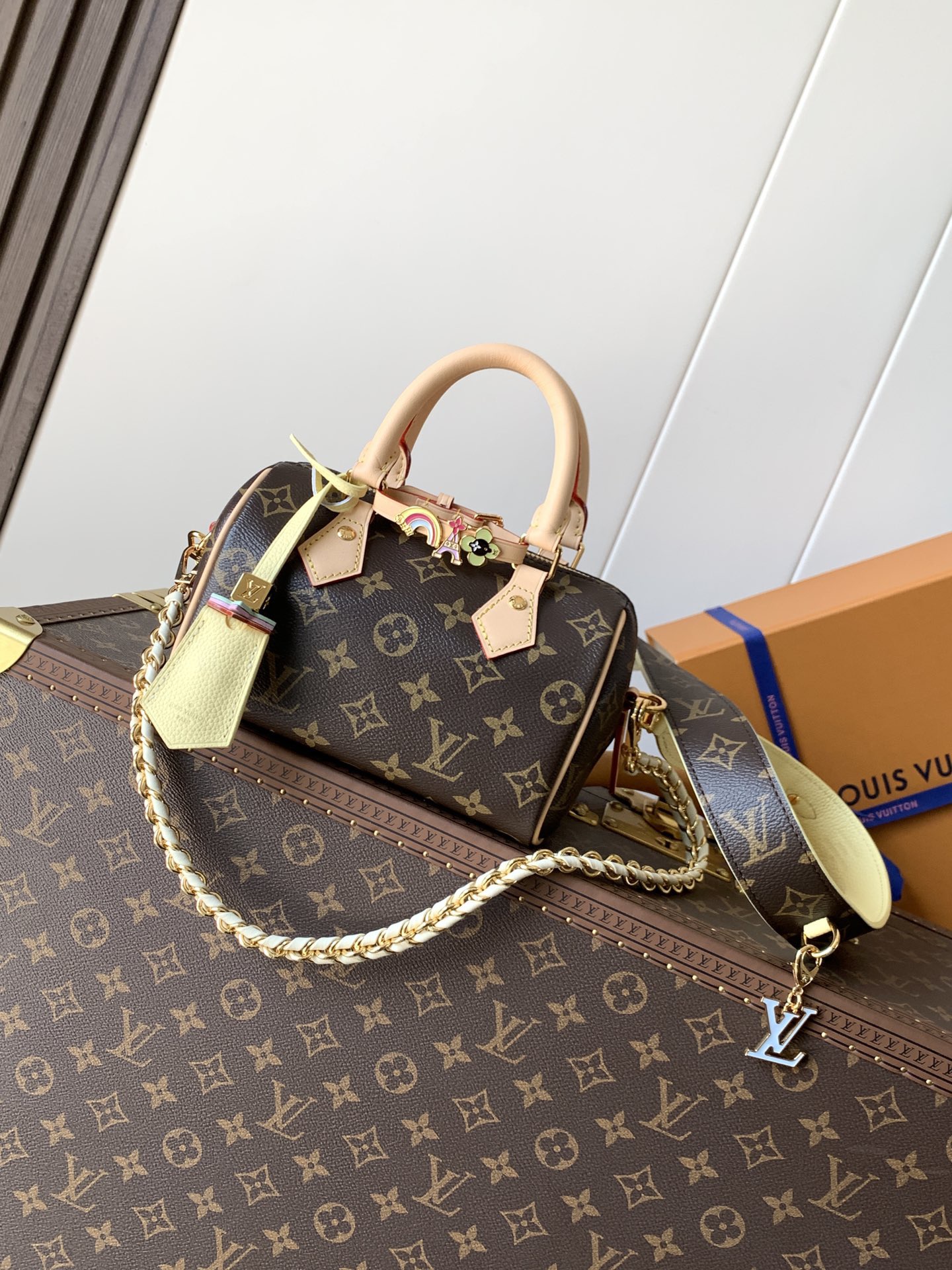 [10A] LV Speedy 18 Bag