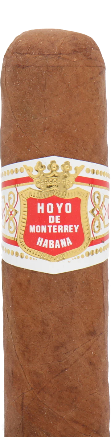 Hoyo de Monterrey Petit Robusto Cuban Cigar - Single
