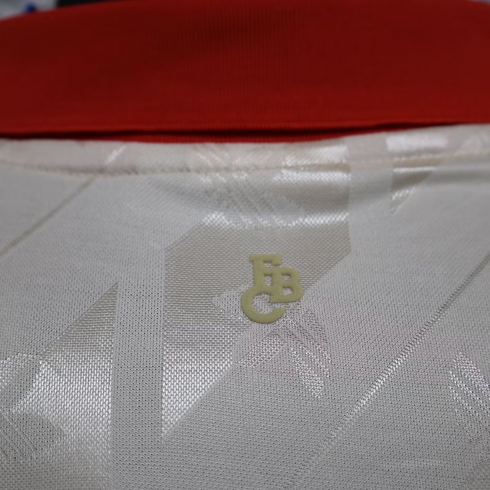 2024/2025 Long Sleeve Player Version Bayern Munich Special Edition Football Jersey 1:1 Thai Quality