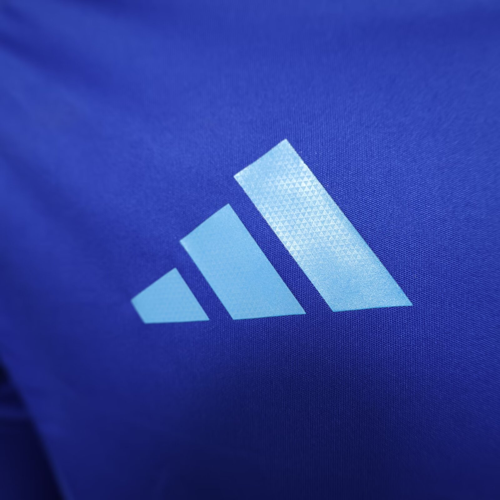 2024/25 Argentina Away Long Sleeve Shirt - Player Version