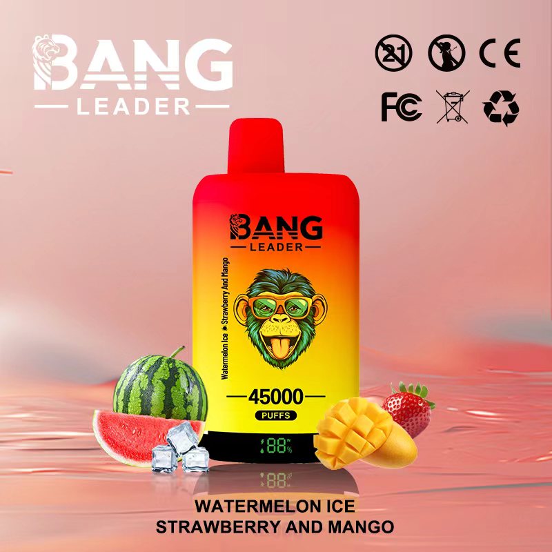 Bang Leader 45k Puffs 2-in-1