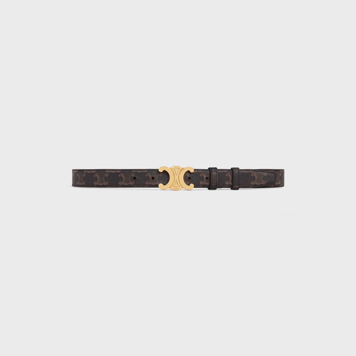 Medium Triomphe Belt in Triomphe Canvas
