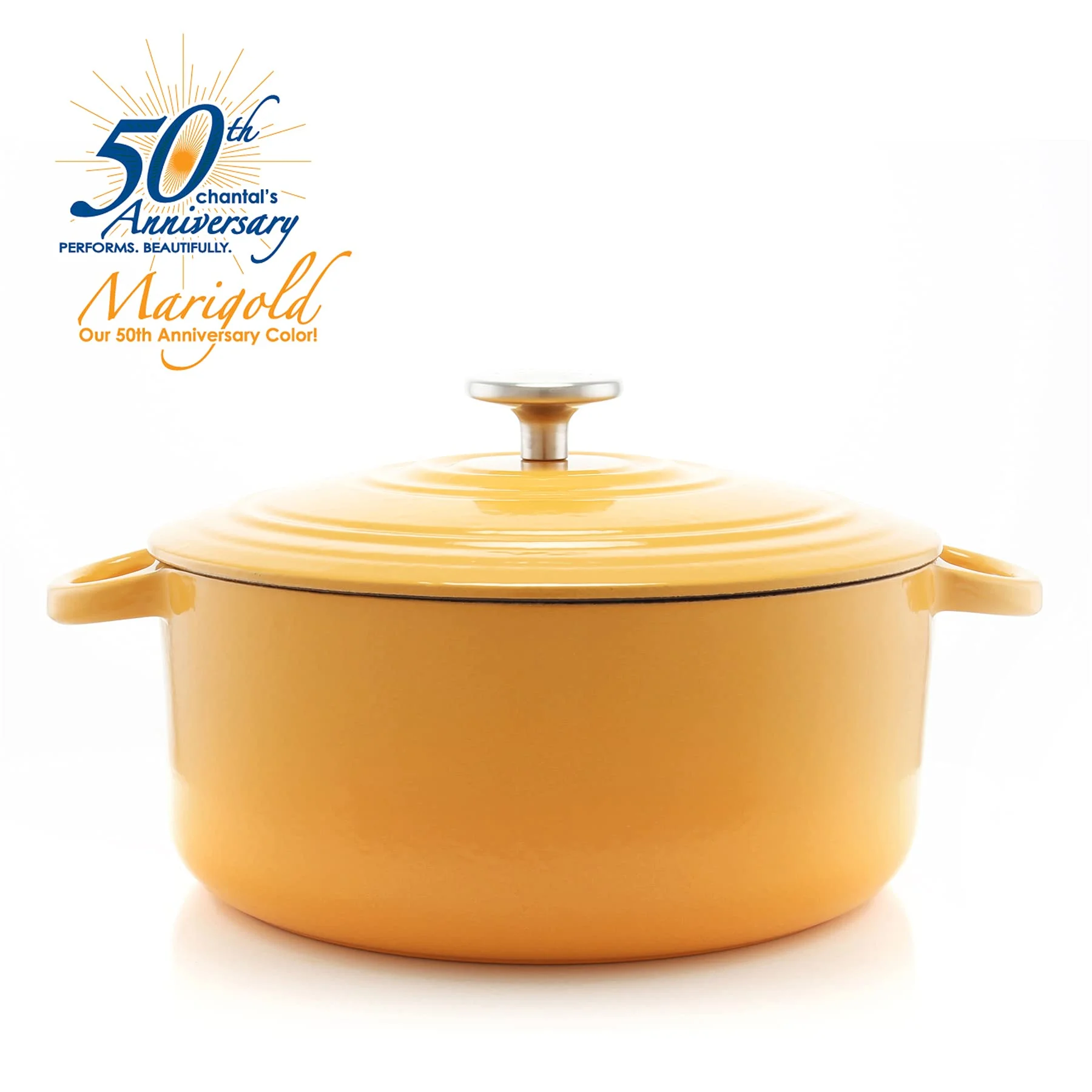 Chantal TC32-260BA Round Cast Iron Enamel Dutch Oven (Sea Blue)