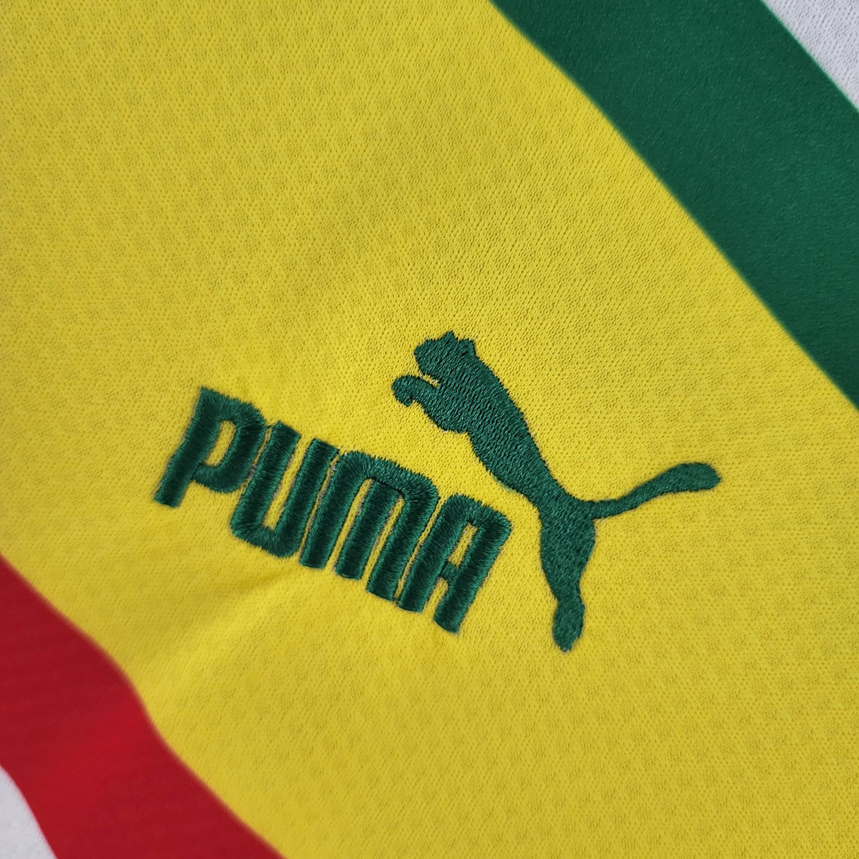 2022 FIFA World Cup Senegal National Team Home Shirt