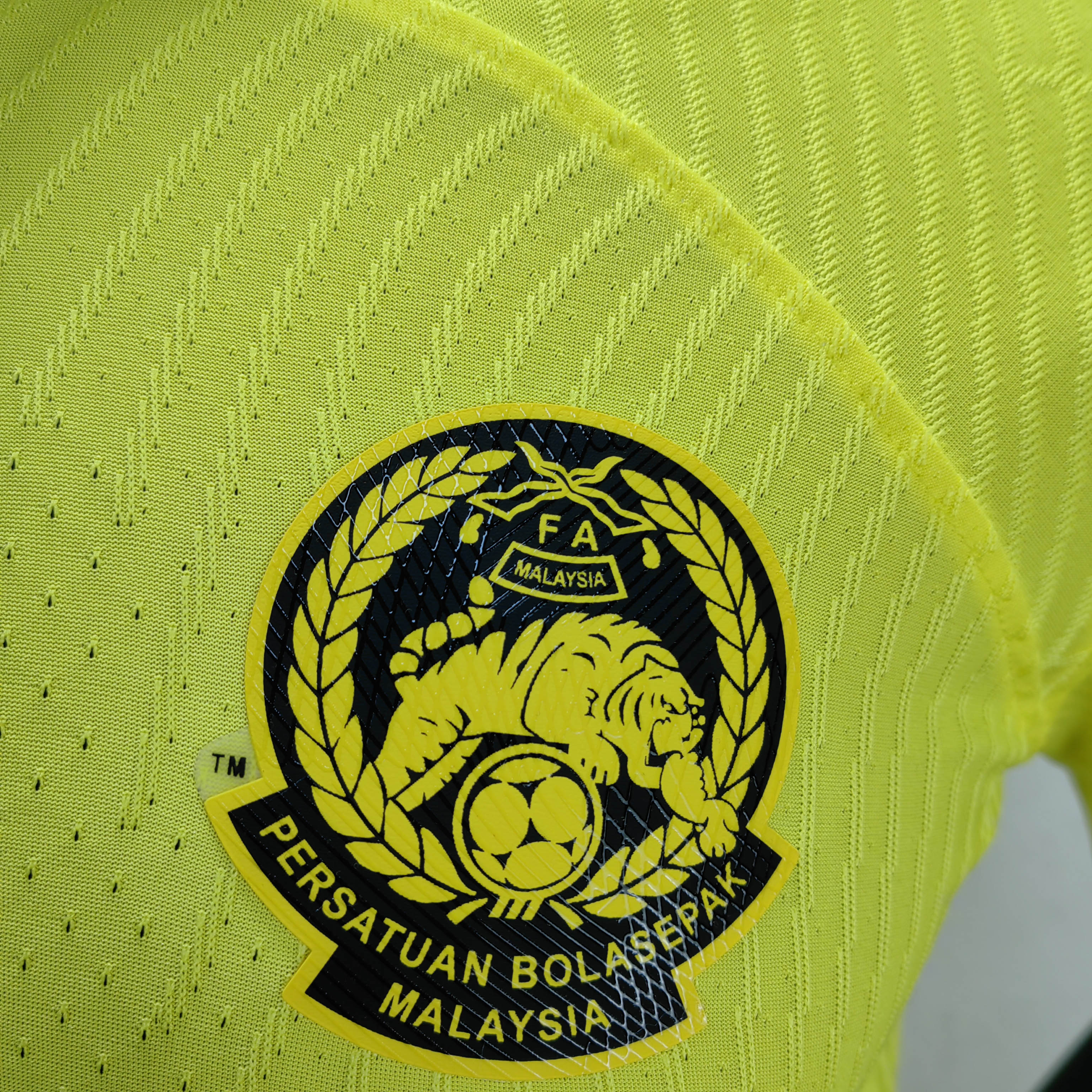 2022 Player Version Malaysia Home Football Jersey
