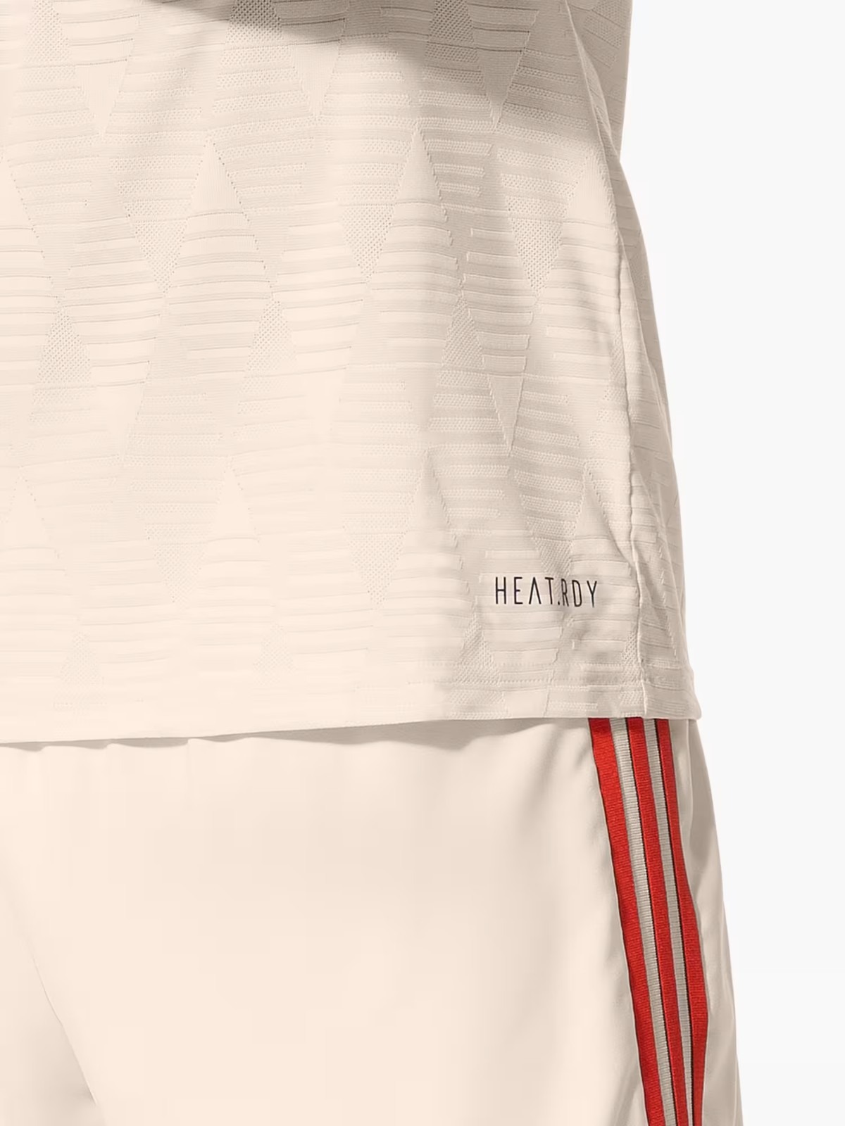 Bayern München 2024-25 Third kit