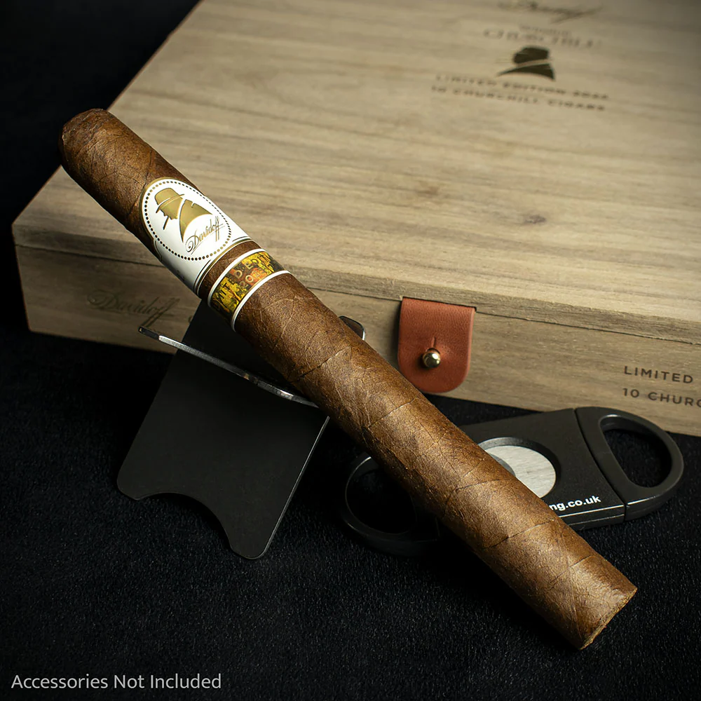 Davidoff Winston Churchill The Artist Limited Edition 2025 Churchill Cigar - Single