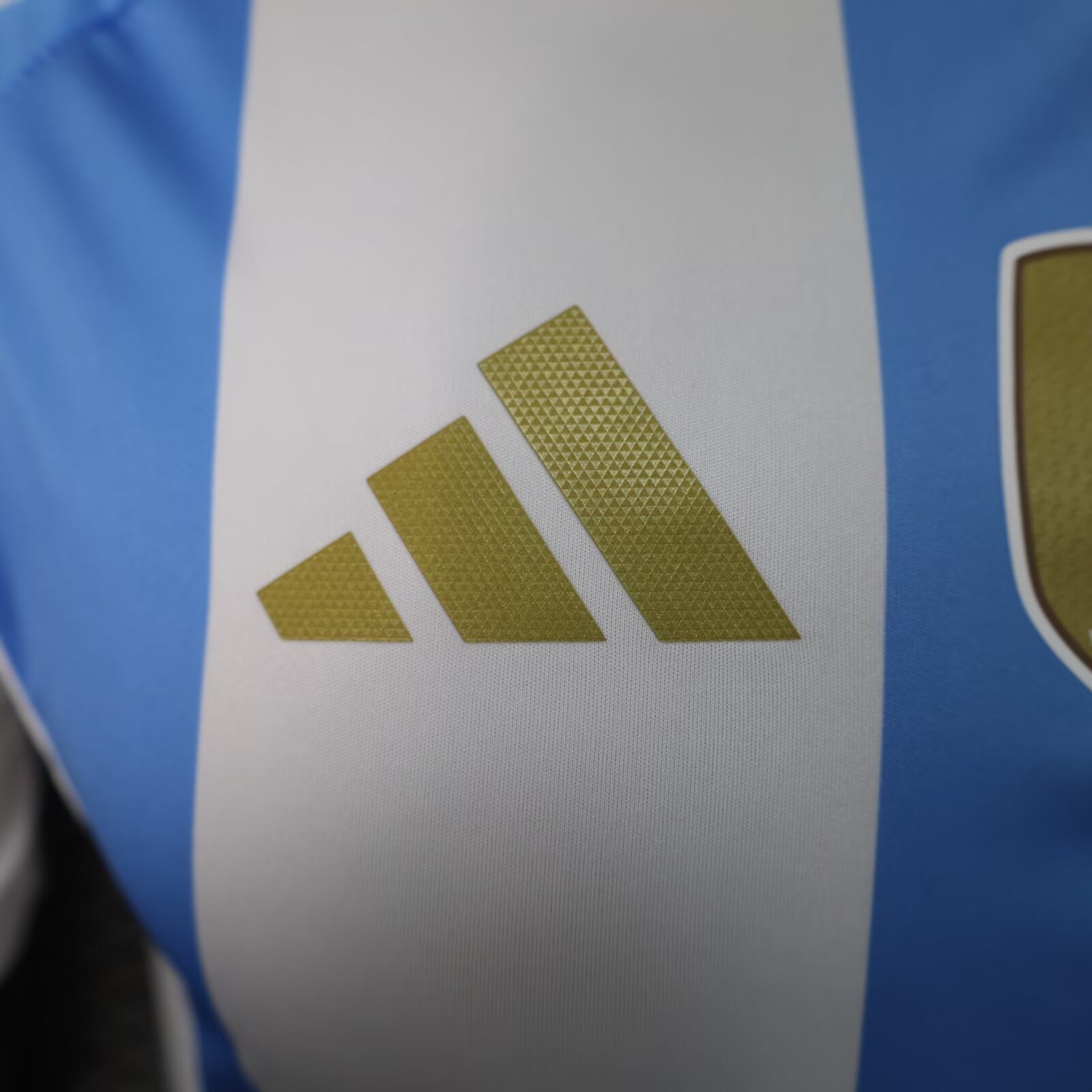 2024/25 Argentina Home Shirt - Player Version
