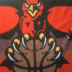 Hawks  Mutombo Black 55 MN