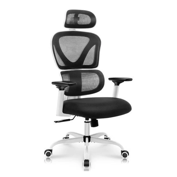 Coolhut Ergonomic Office Chair, High Back Adjustable Computer Desk Chair with Lumbar Support, 300lb, Black